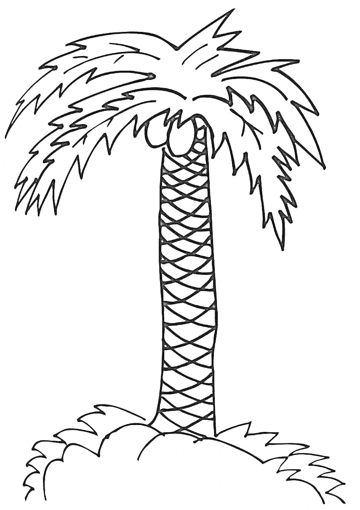 Раскраска Кокосовая пальма с кокосами на холме -
