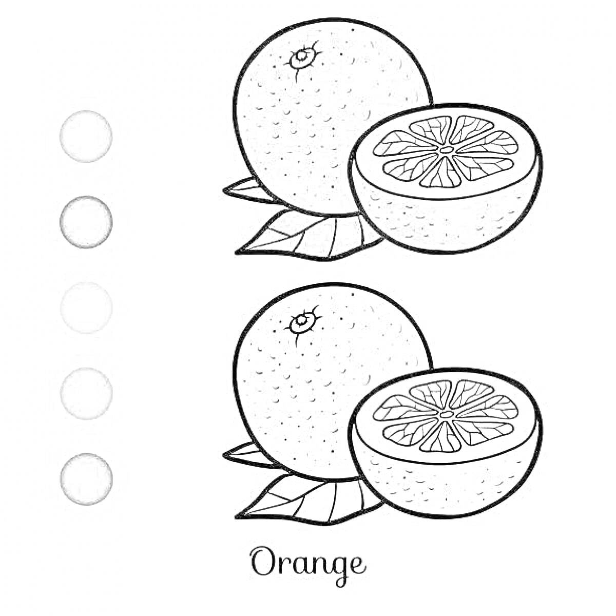 Раскраска Апельсин целый и половинка апельсина с листьями
