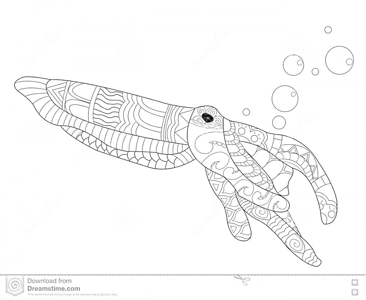 Раскраска Каракатица с узорами и пузырями