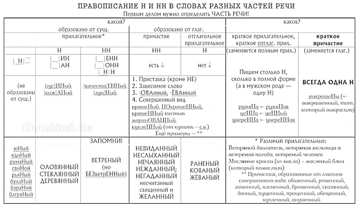 Раскраска Правописание Н и НН в словах разных частей речи