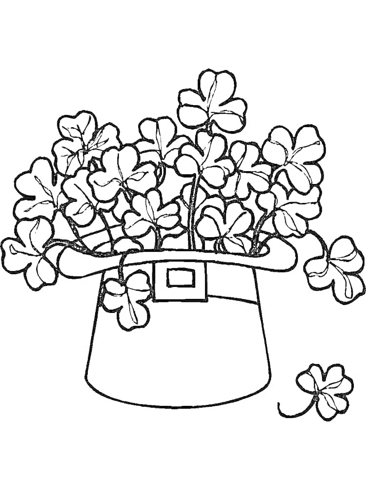 На раскраске изображено: Клевер, Шляпа, Пряжка, Листья, Цветы, Растения, Контурные рисунки, Котел