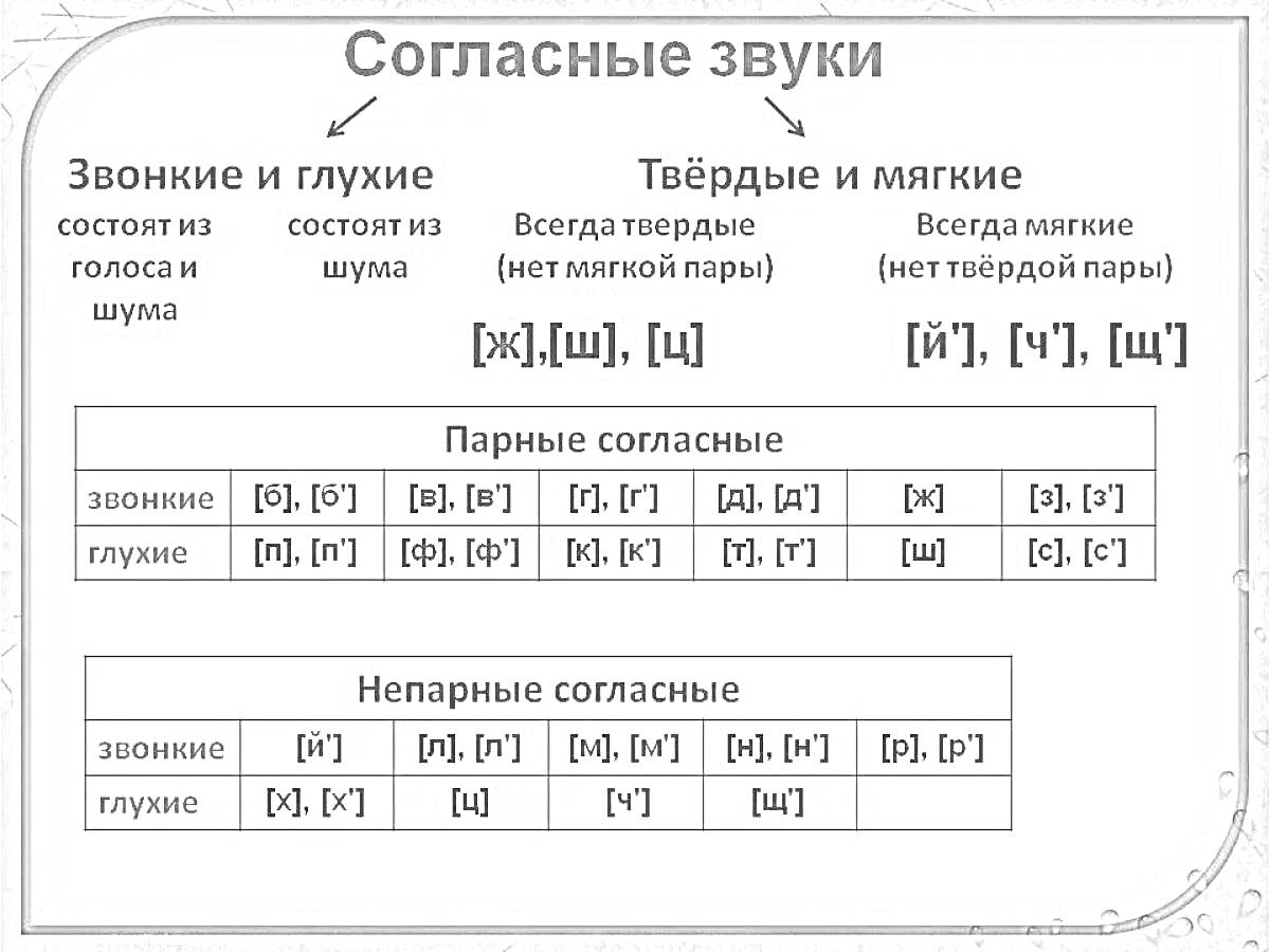 Согласные звуки: Звонкие и глухие, Твёрдые и мягкие, Парные согласные, Непарные согласные