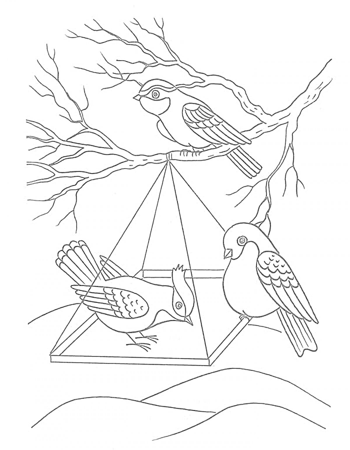 Раскраска Зимующие птицы на ветке и вокруг кормушки