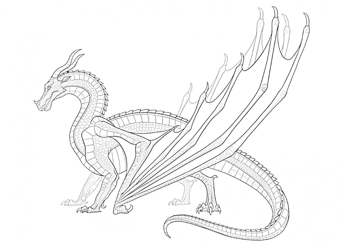 Раскраска Дракон с большими крыльями на задних лапах