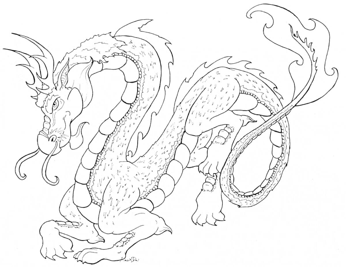 На раскраске изображено: Китайский дракон, Мифология, Чешуя, Рожки, Длинное тело, Дракон, Искусство