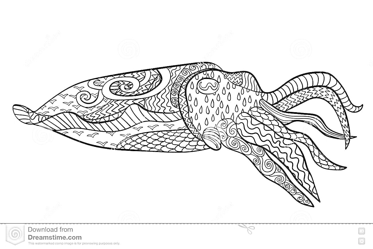 Раскраска Каракатица с узорами в стиле зендудл