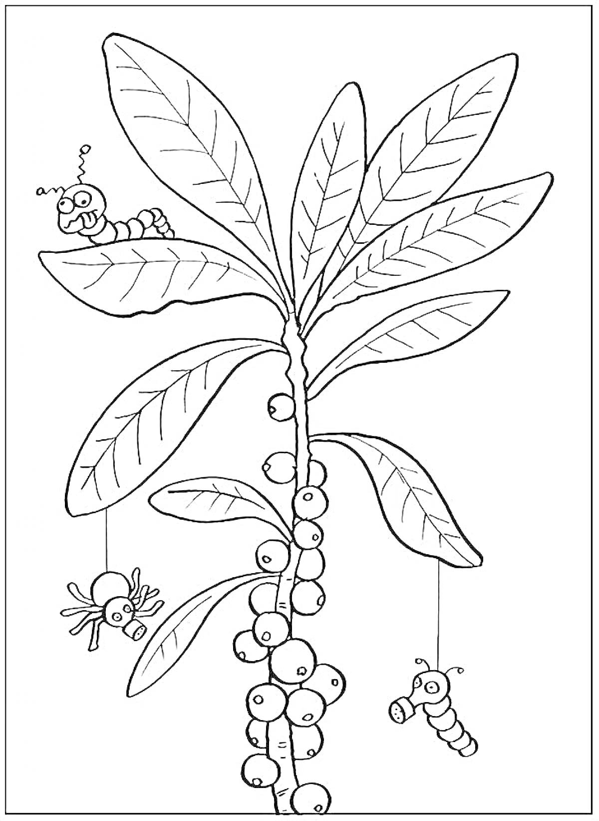 Раскраска Ядовитое растение с гусеницами и пауком на ветвях