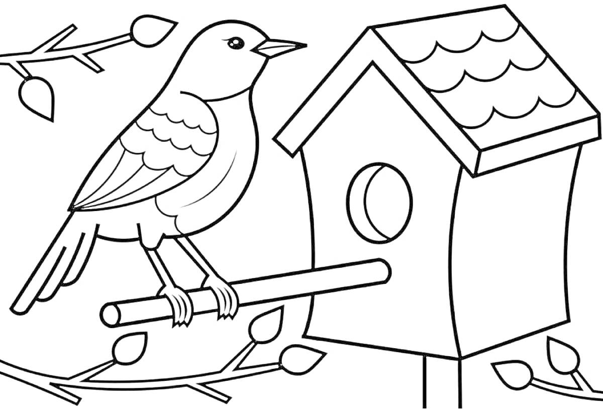 На раскраске изображено: Скворечник, Птица, Листья, Природа, Домик для птиц, Ветка