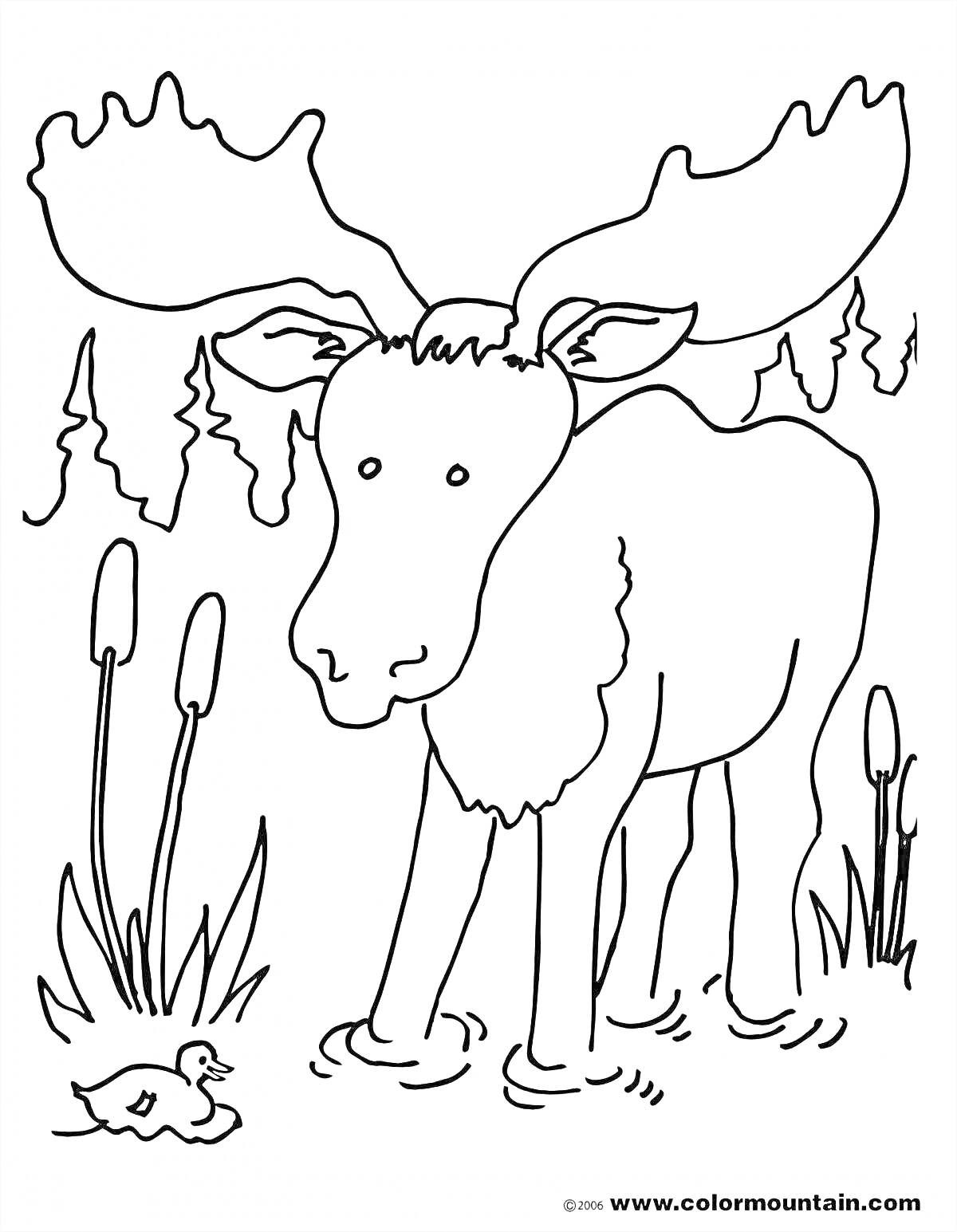 На раскраске изображено: Лось, Лес, Пруд, Тростник, Природа, Животные, 6-7 лет