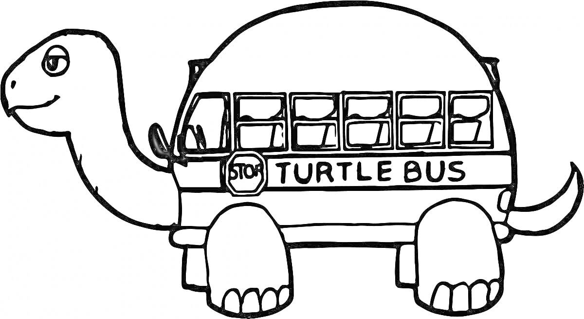 Раскраска черепаший автобус с надписью 
