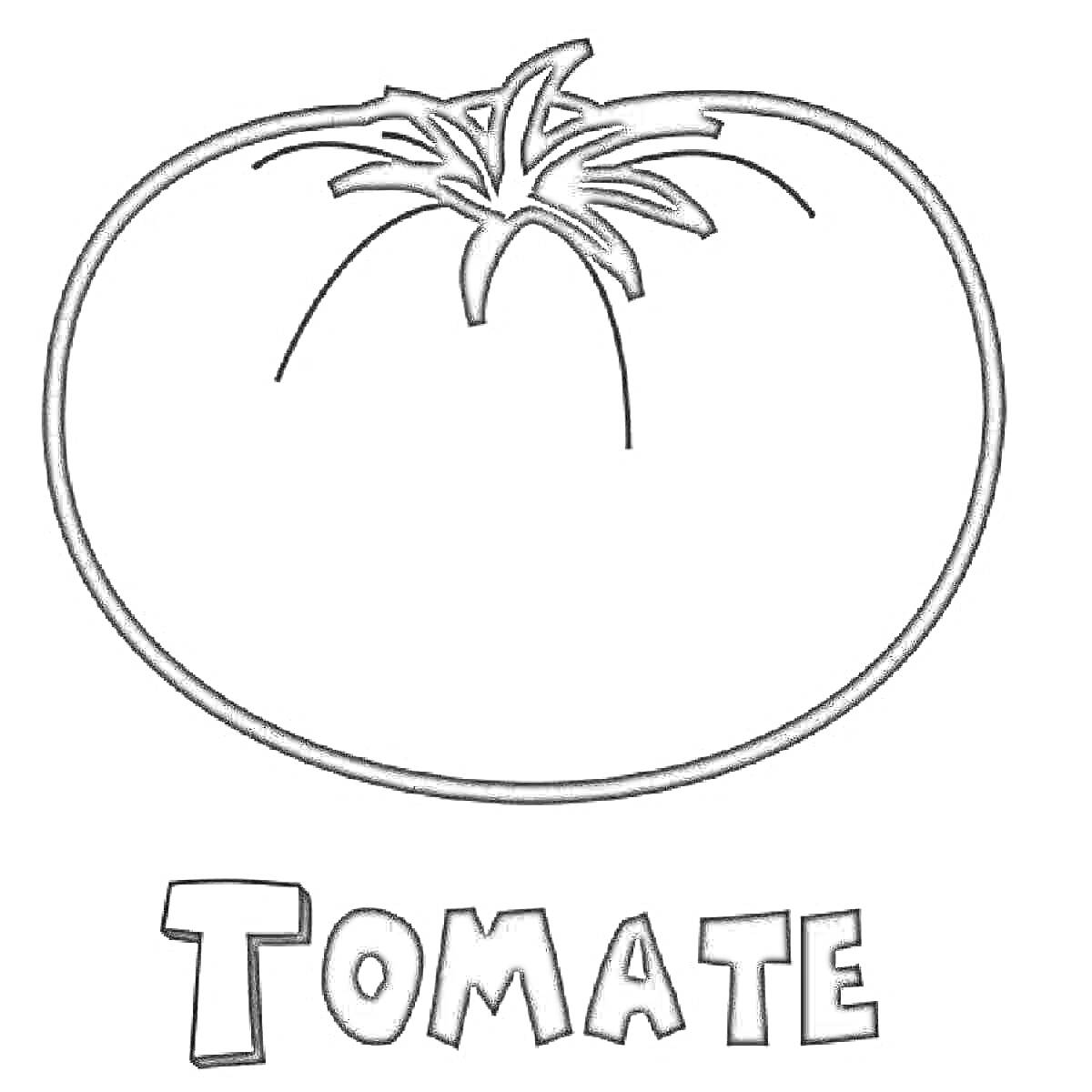 Раскраска Помидор с надписью TOMATE