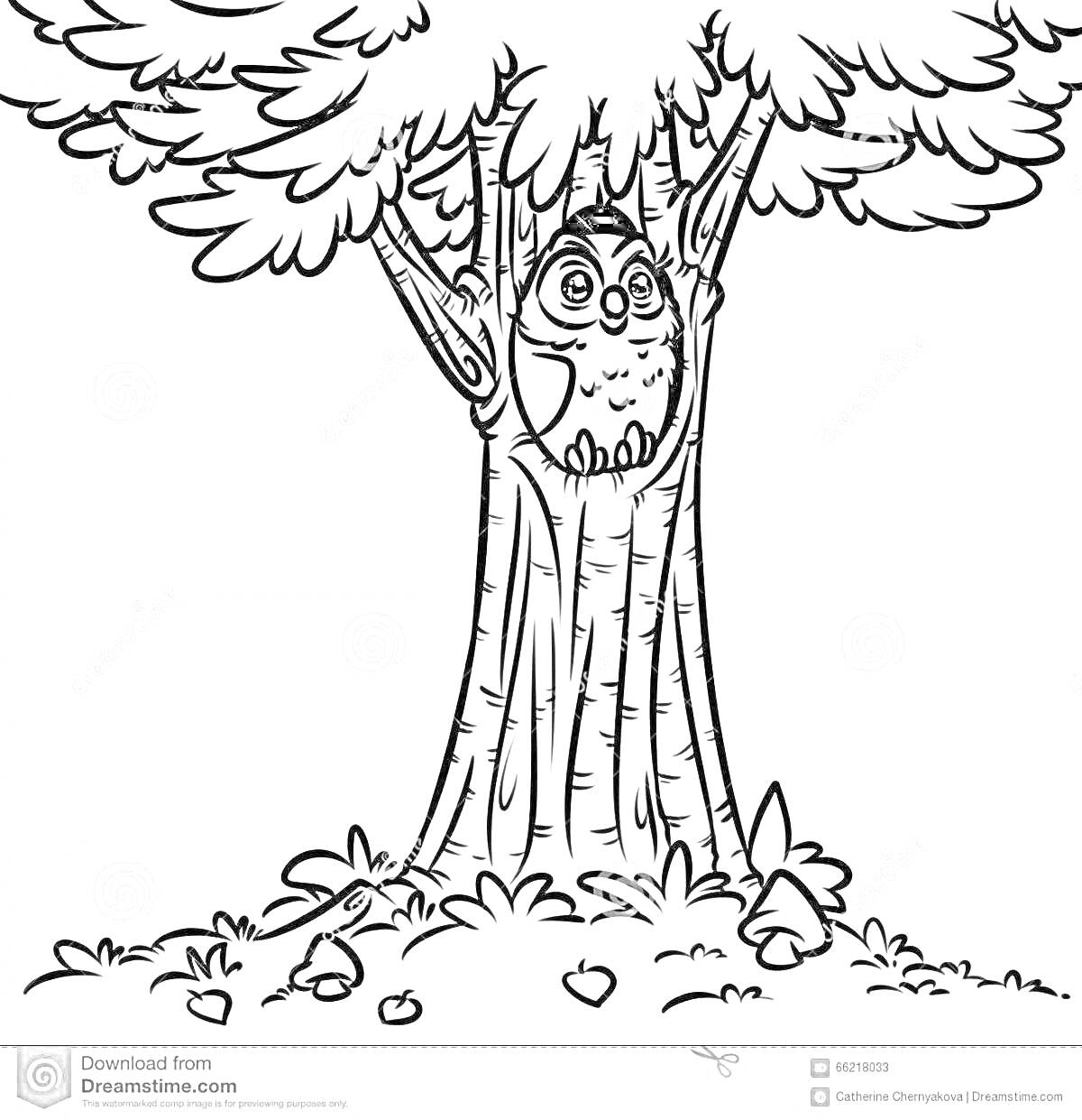 Раскраска Дерево с дуплом и совой, листьями и травой вокруг ствола