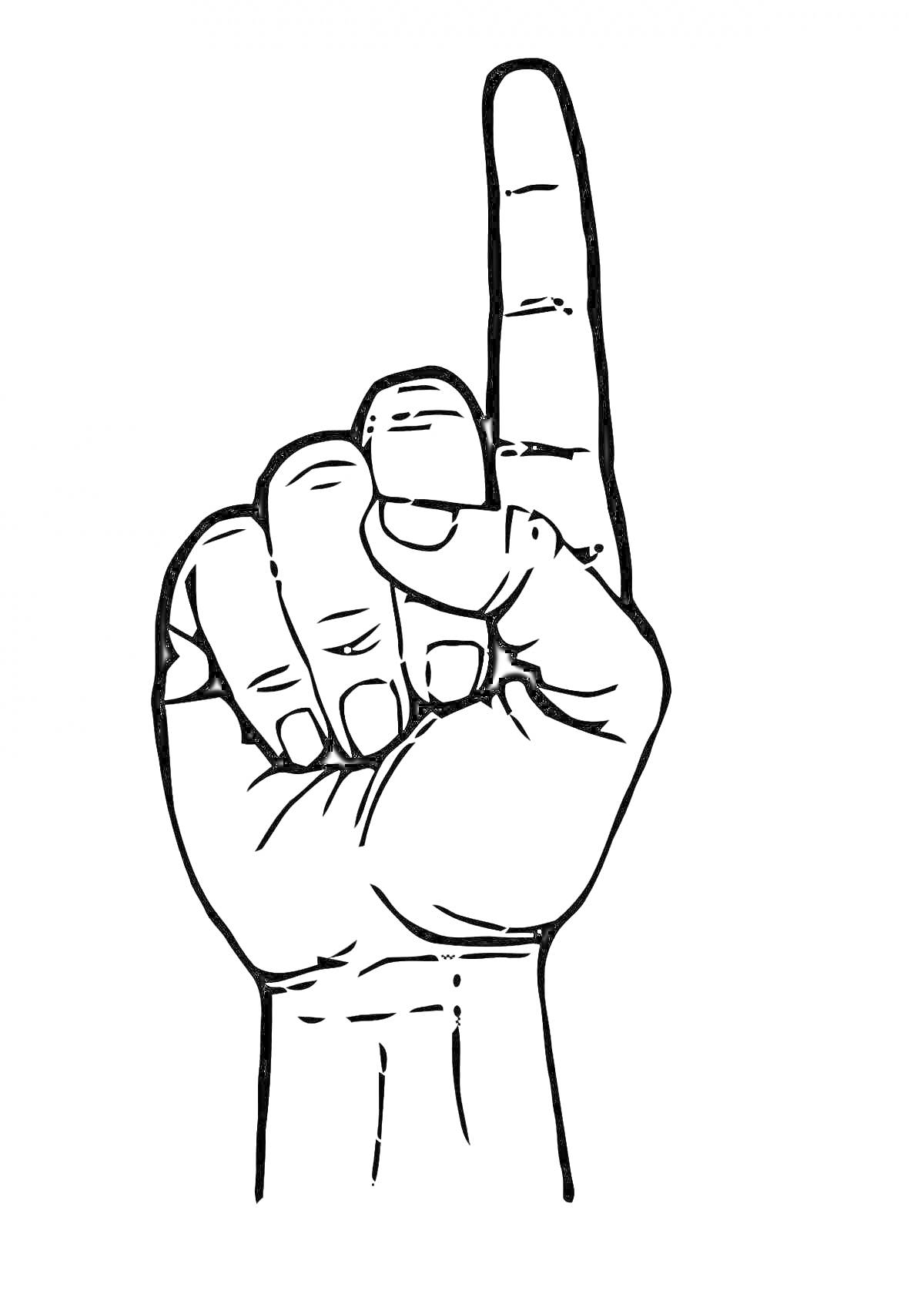 На раскраске изображено: Рука, Указательный палец, Палец вверх
