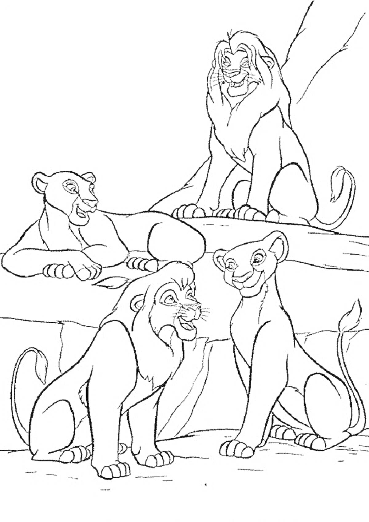 На раскраске изображено: Львы, Король лев, Семья, Природа, Животные