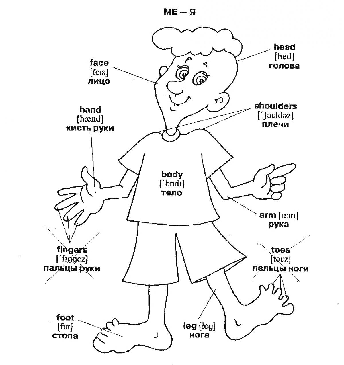 На раскраске изображено: Части тела, Английский язык, Для детей, Лицо, Голова, Плечи, Рука, Кисть руки, Стопа