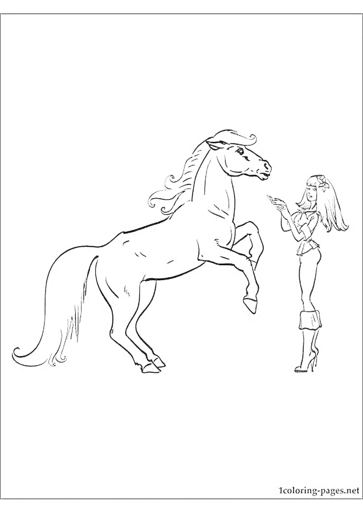 На раскраске изображено: Барби, Лошадь, Персонаж, Волосы, Кукла