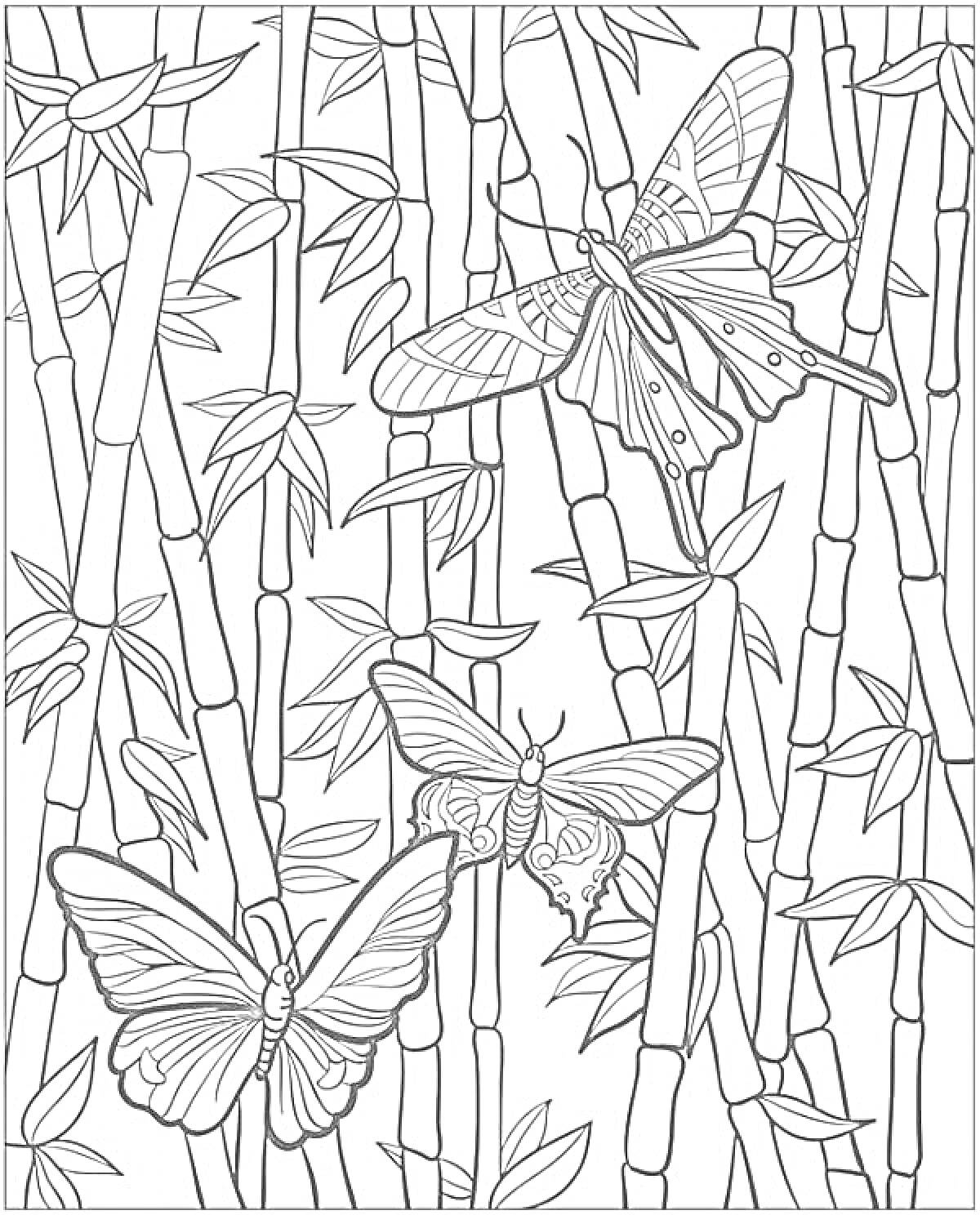 На раскраске изображено: Бамбук, Природа, Листья, Стебель, Насекомое, Растения, Бабочка