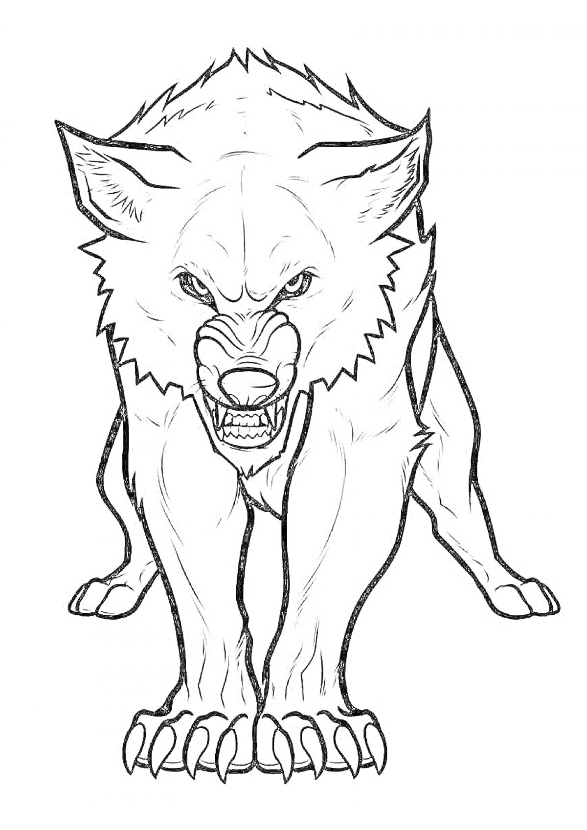 Раскраска агрессивный волк с оскаленными зубами на белом фоне