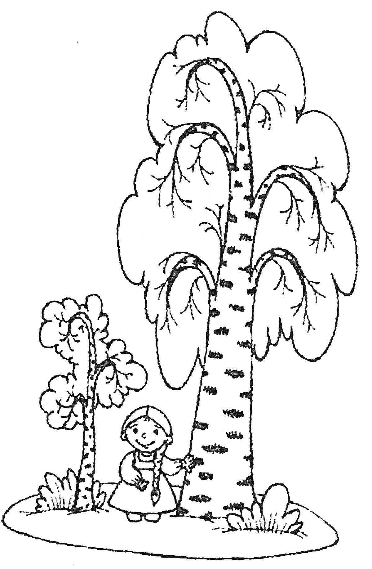 На раскраске изображено: Деревья, Береза, Девочка, Природа, Трава