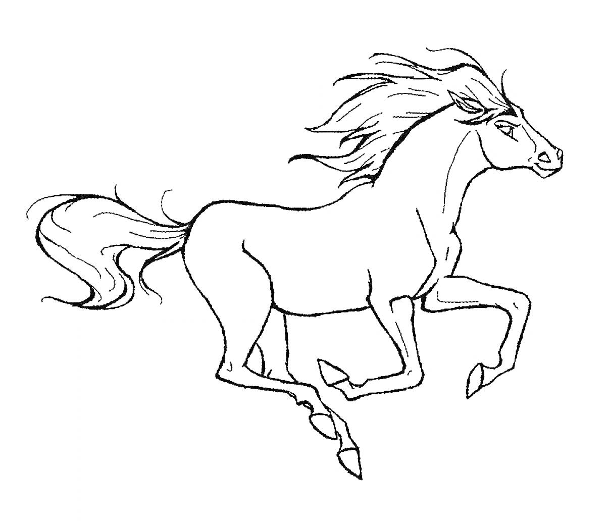 Раскраска Скачущая лошадь с развевающейся гривой и хвостом