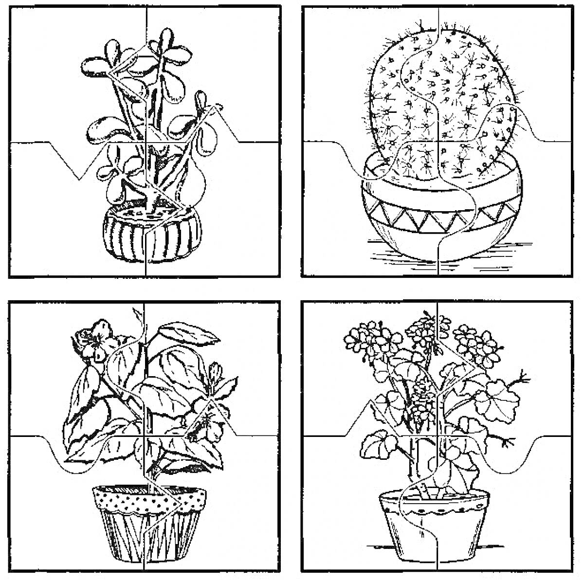 На раскраске изображено: Комнатные растения, Горшки, Цветы, Листья, Узоры, Пазл, Кактусы