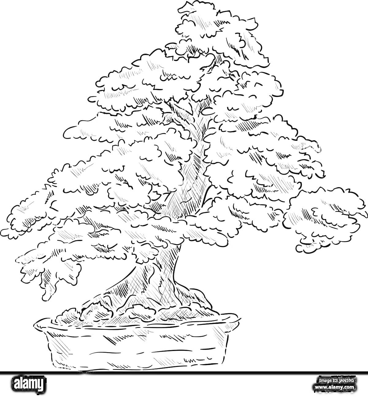 Раскраска Рисунок с изображением бонсай-дерева в горшке
