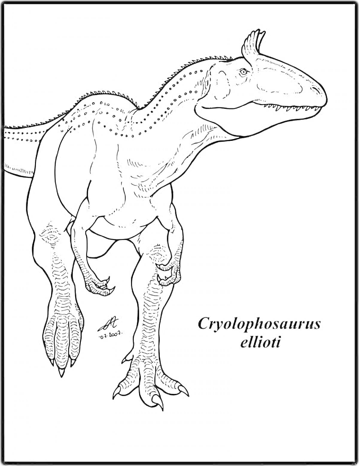 Раскраска Cryolophosaurus ellioti с передними лапами на раскоряченных ногах