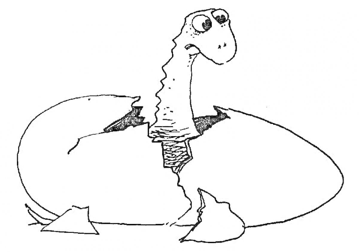 На раскраске изображено: Динозавр, Вылупление, Контурные рисунки