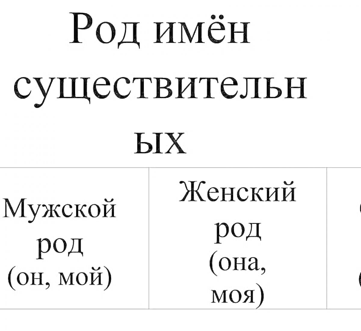 Род имён существительных: Мужской род (он, мой), Женский род (она, моя)