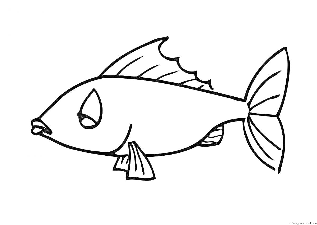 раскраска с изображением рыбы с плавником, хвостом, жабрами и ртом