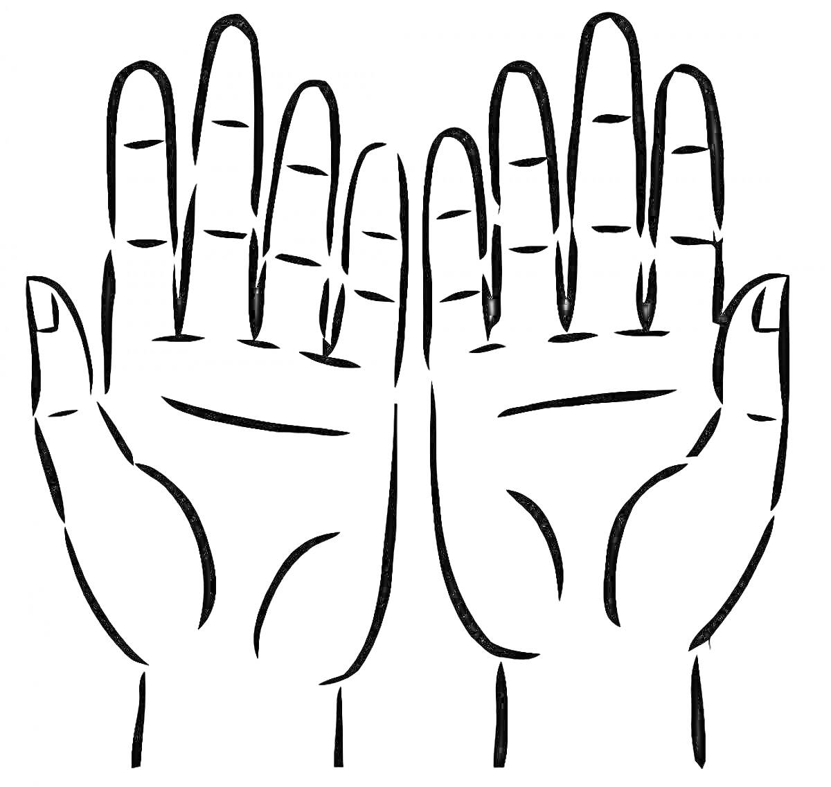 На раскраске изображено: Рука, Пальцы, Линии, Ладонь, Контурные рисунки