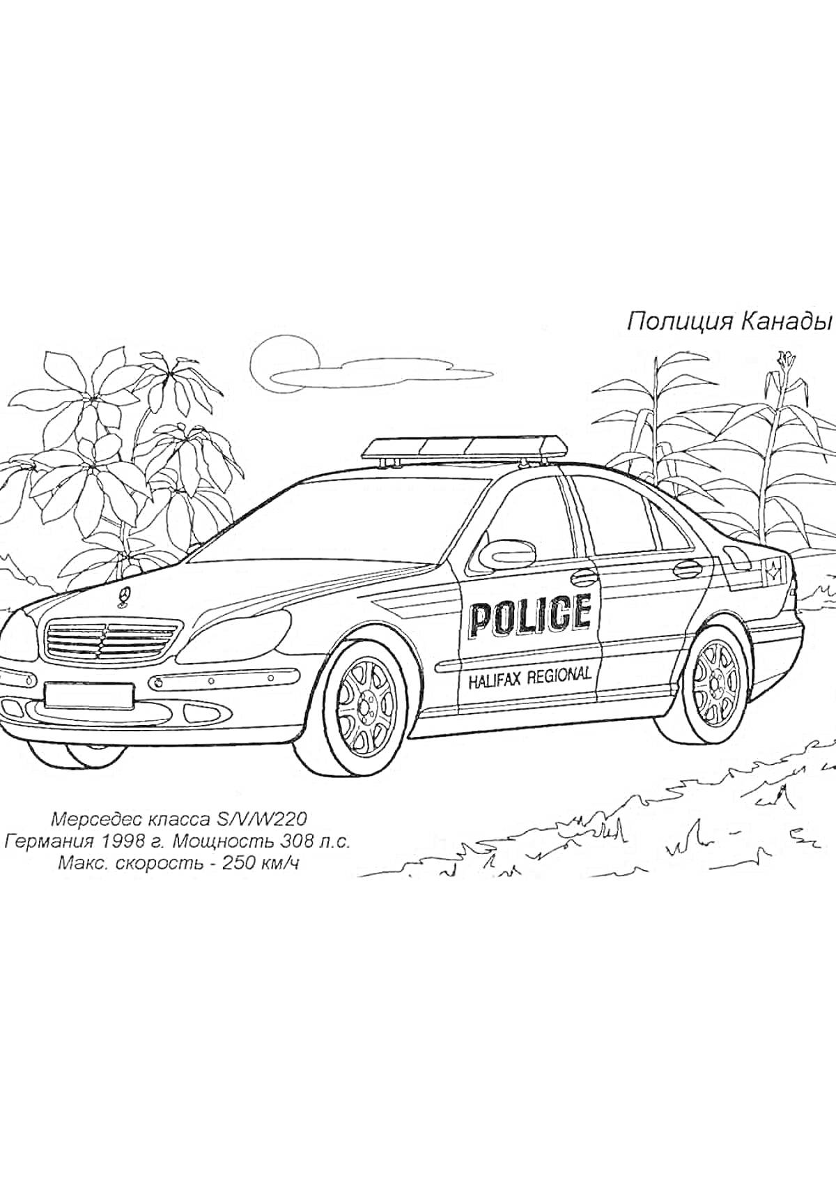 На раскраске изображено: Полицейский автомобиль, Мерседес, Природа, Деревья, Кусты, Скорость