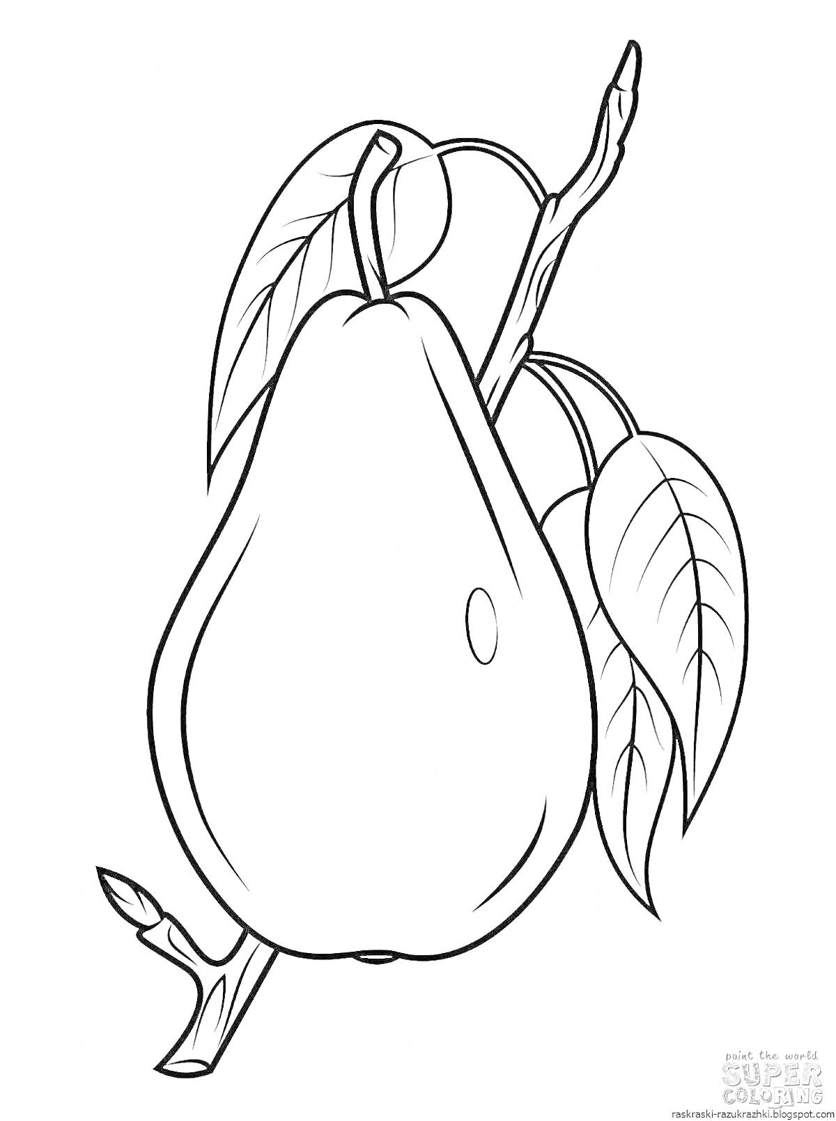 На раскраске изображено: Ветка, Листья, 3-4 года
