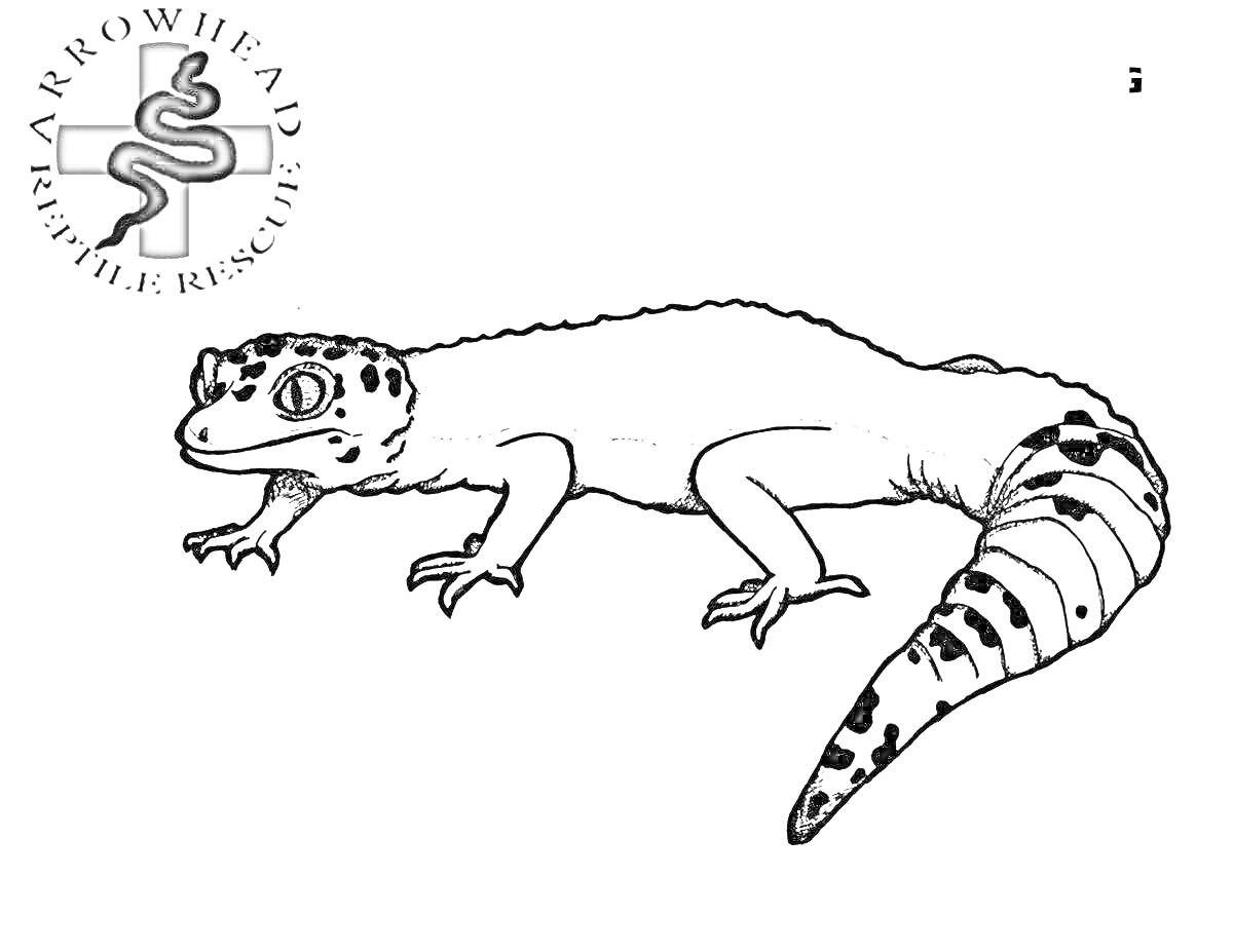 Раскраска Линия Ужика с текстом Arrowhead Reptile Rescue