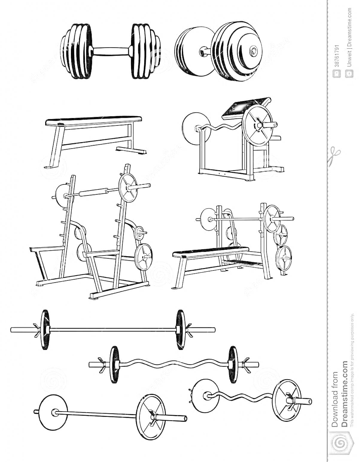 Раскраска Штанги, гири, скамьи и стойки для силовых тренировок в спортзале