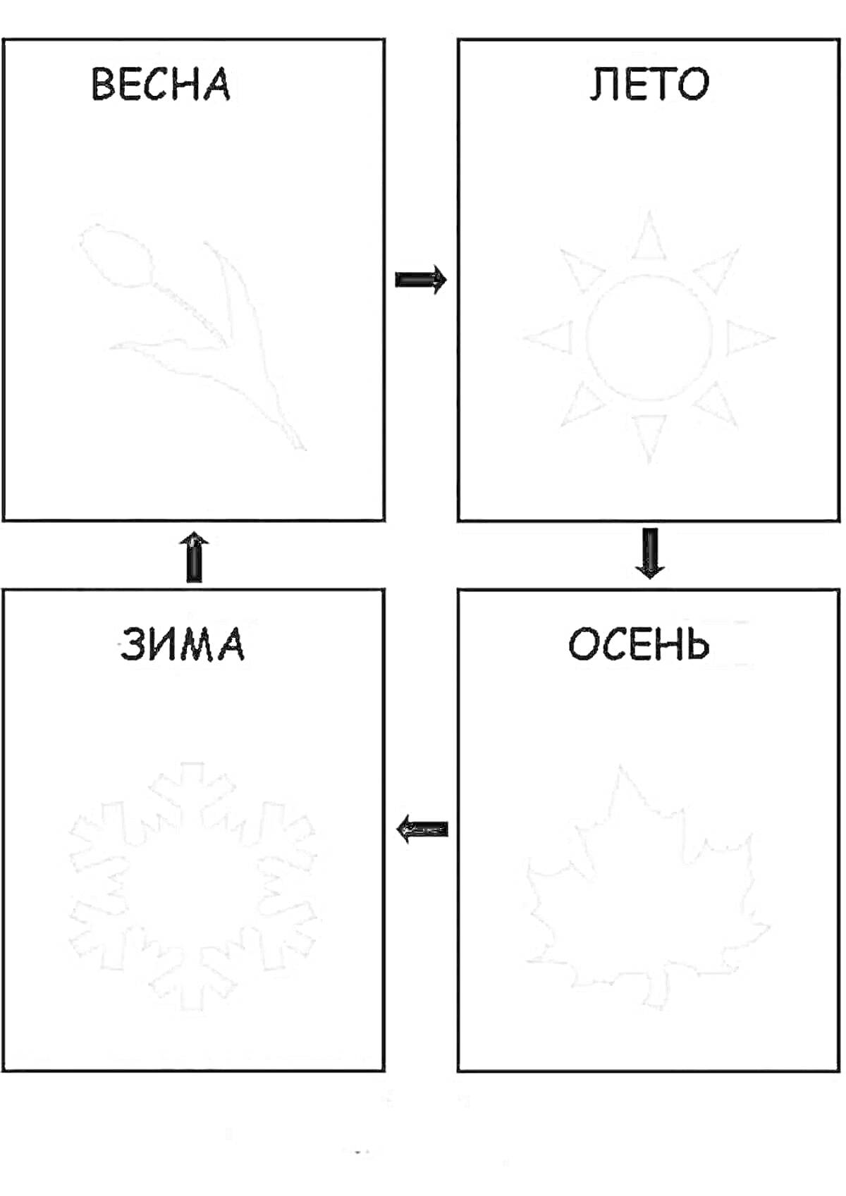 Раскраска 4 времени года — Весна (цветок тюльпан), Лето (солнце), Осень (кленовый лист), Зима (снежинка)