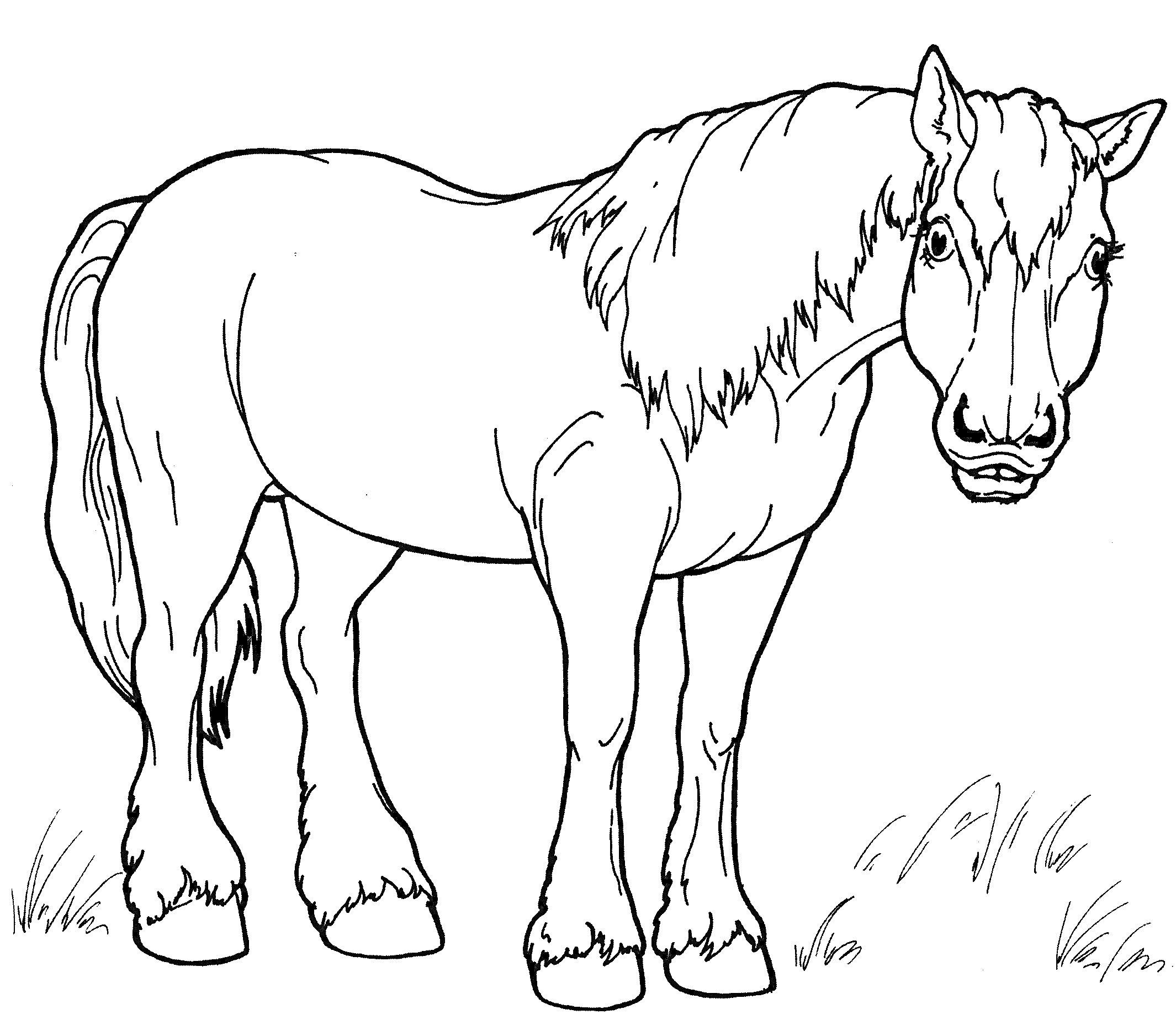 На раскраске изображено: Лошадь, Животные, Трава, Пастбище, Для детей, Линии, Контурные рисунки