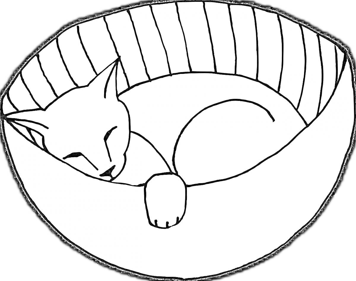 Раскраска Спящий котенок в корзинке