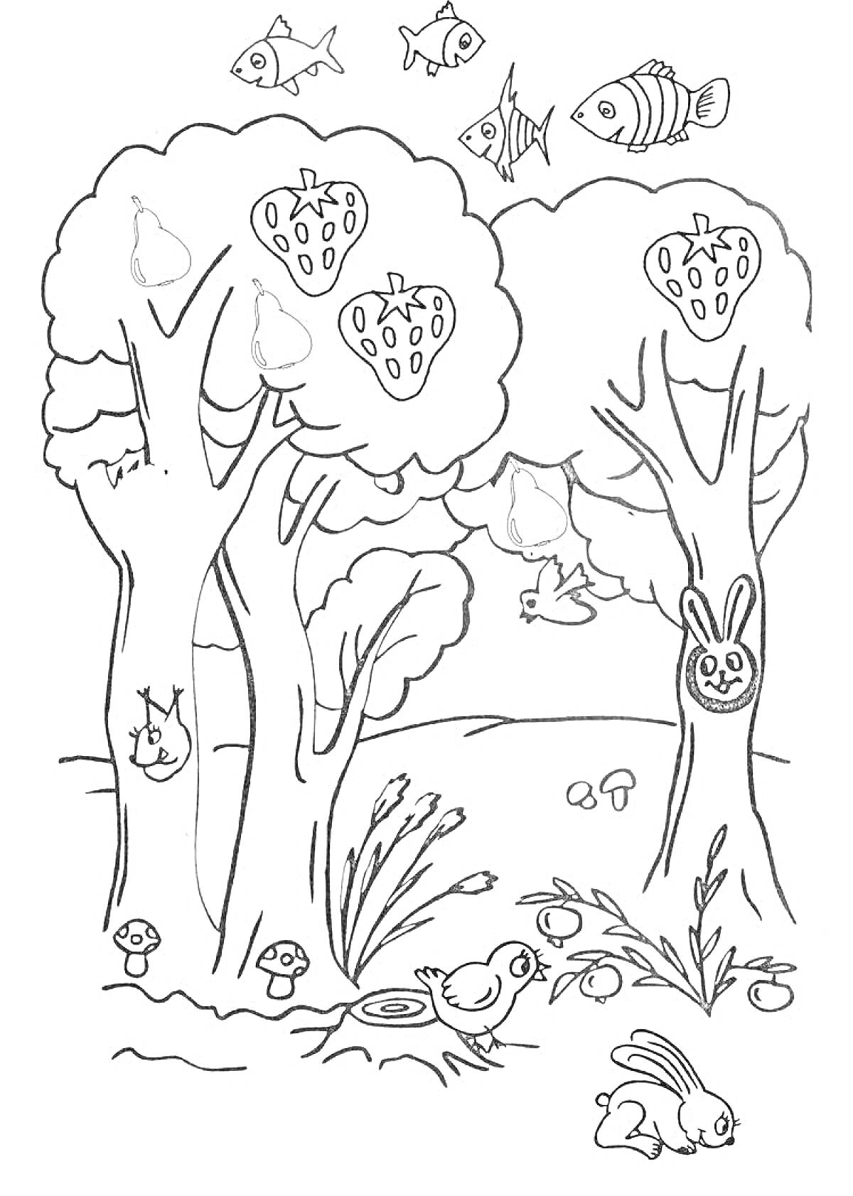 На раскраске изображено: Лес, Деревья, Груши, Клубника, Грибы, Белка, Кролик, Лужа, Трава, Кусты, Лесные животные