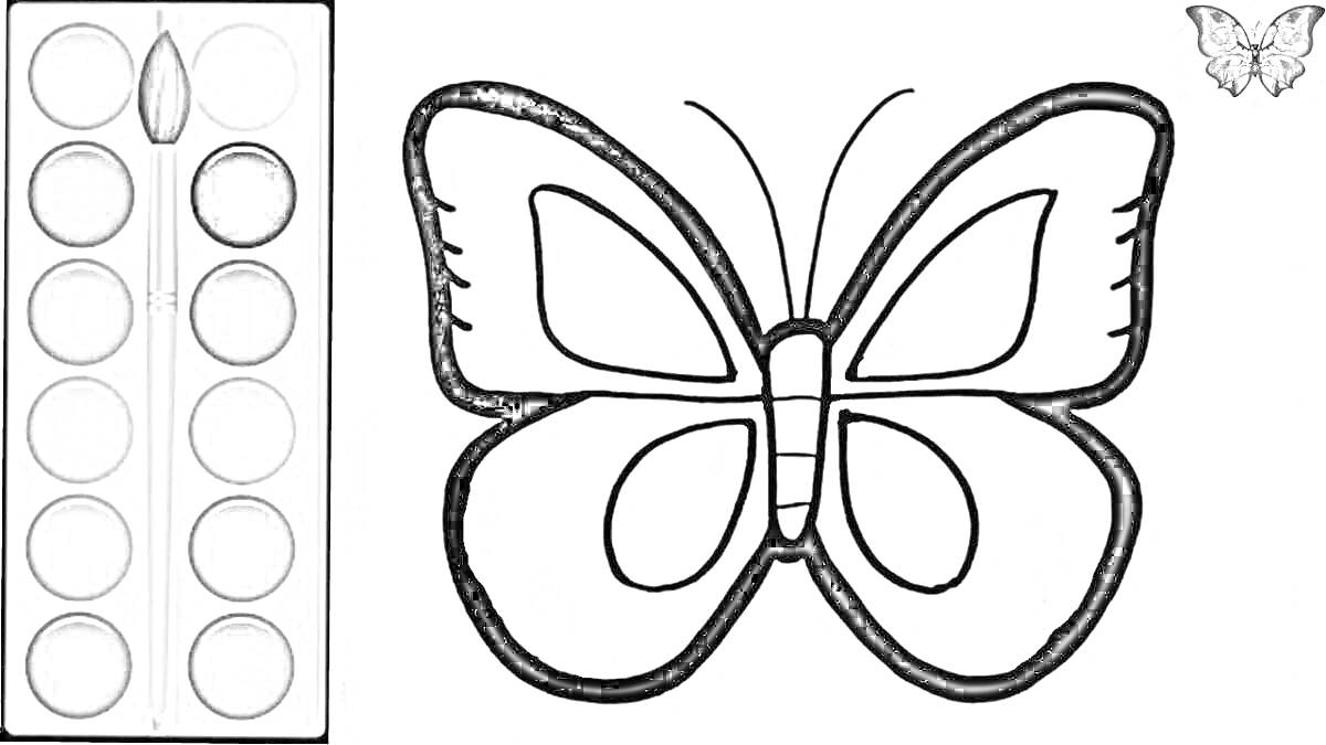 На раскраске изображено: Для малышей, Бабочка, Краски, Творчество