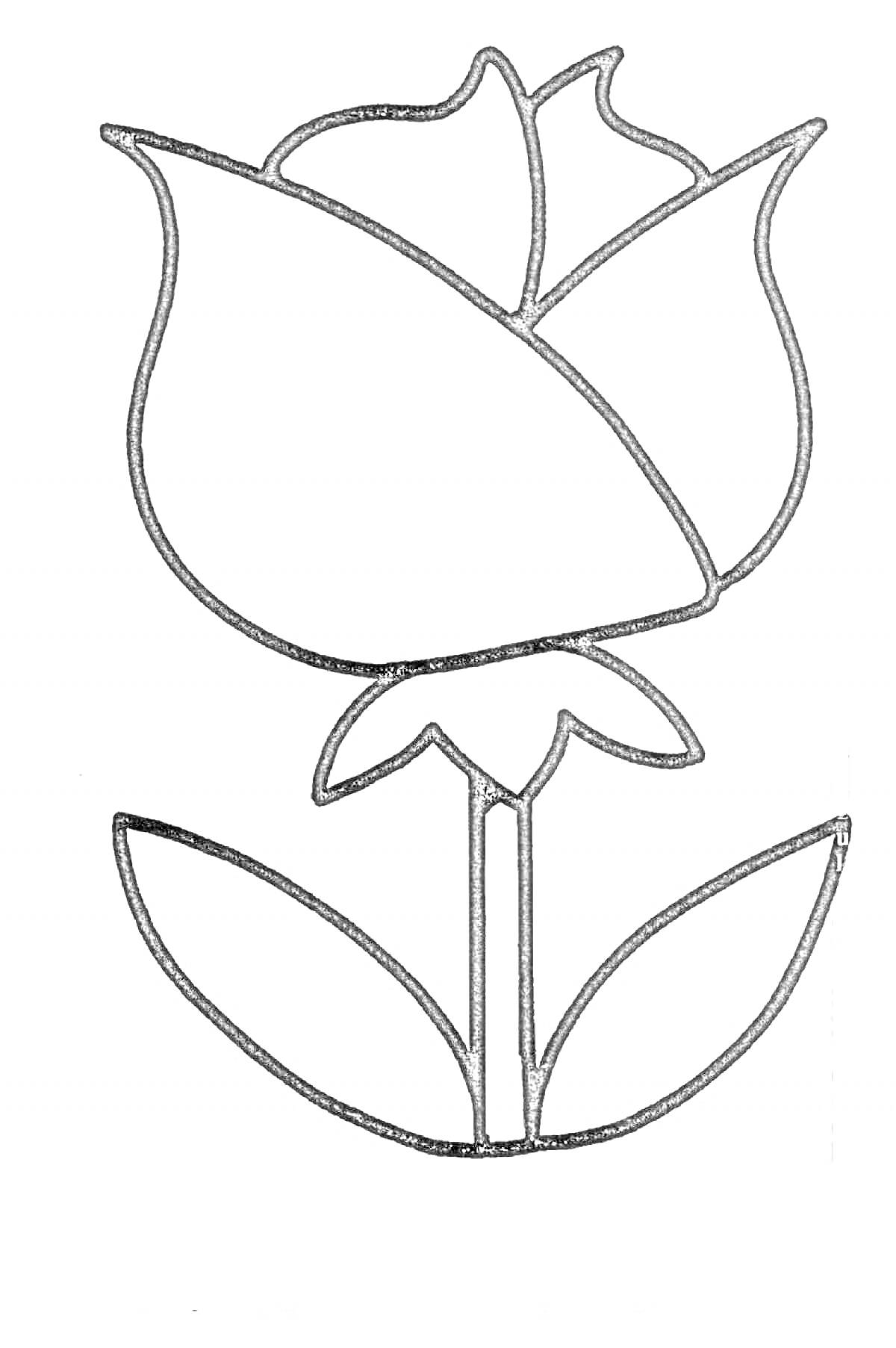 На раскраске изображено: Листья, Для девочек, 3 года, 4 года, Цветение, Ботаника, Природа, Цветы