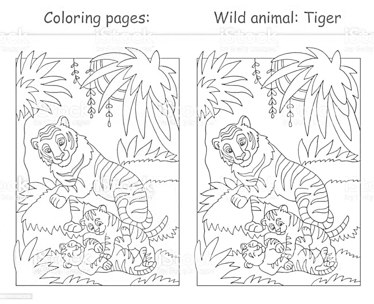 На раскраске изображено: Тигрята, Джунгли, Деревья, Трава, Дикая природа