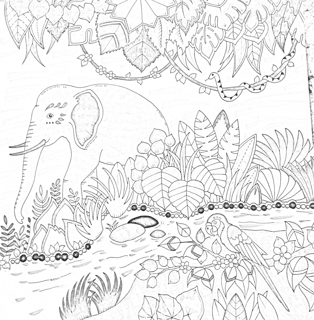 На раскраске изображено: Джунгли, Слон, Водоем, Река, Растения, Лианы, Цветы, Кусты, Листья, Экзотика, Природа, Водопад, Птица