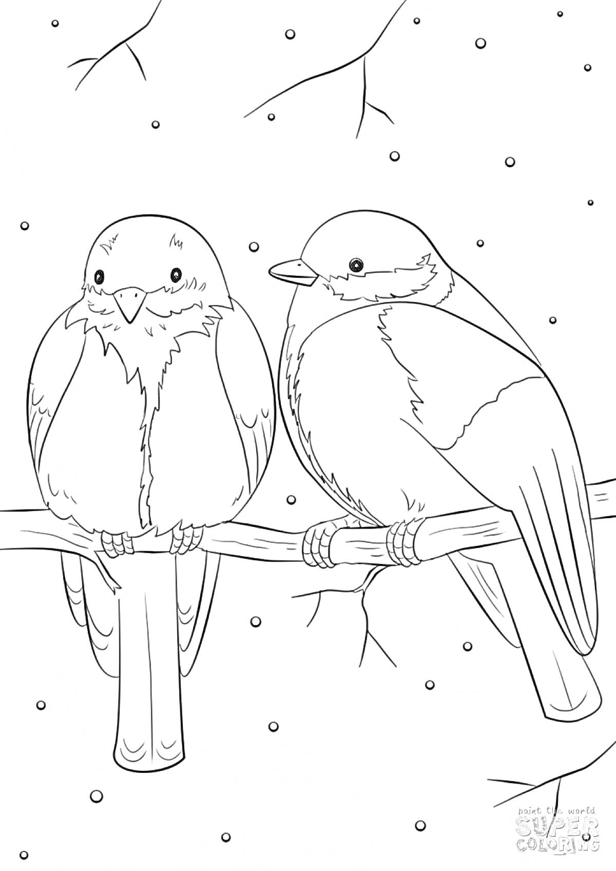 Раскраска Две зимние птицы на ветке с заснеженными фоном и падающими снежинками