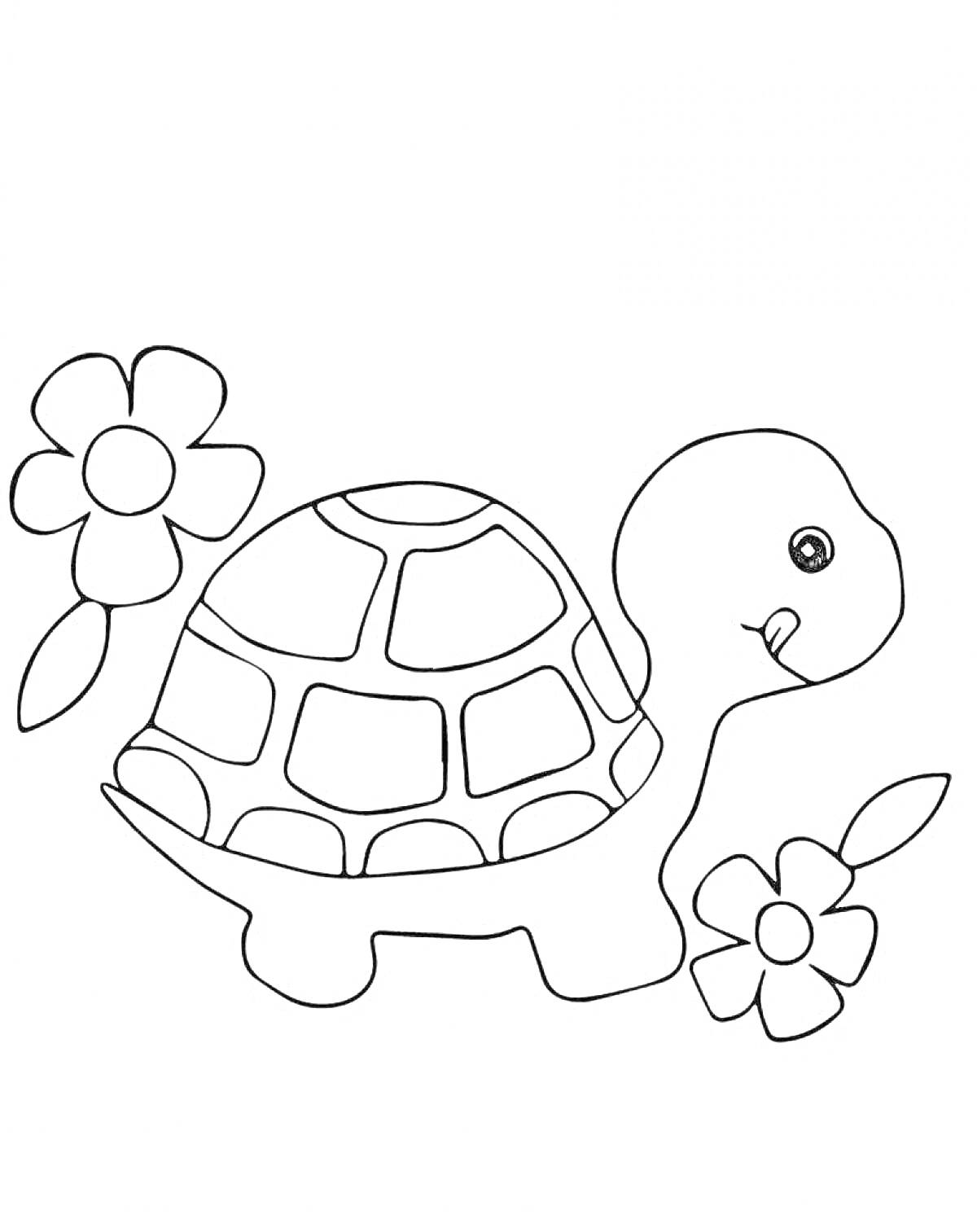 На раскраске изображено: Черепаха, Цветы, Для малышей, Животные, Природа