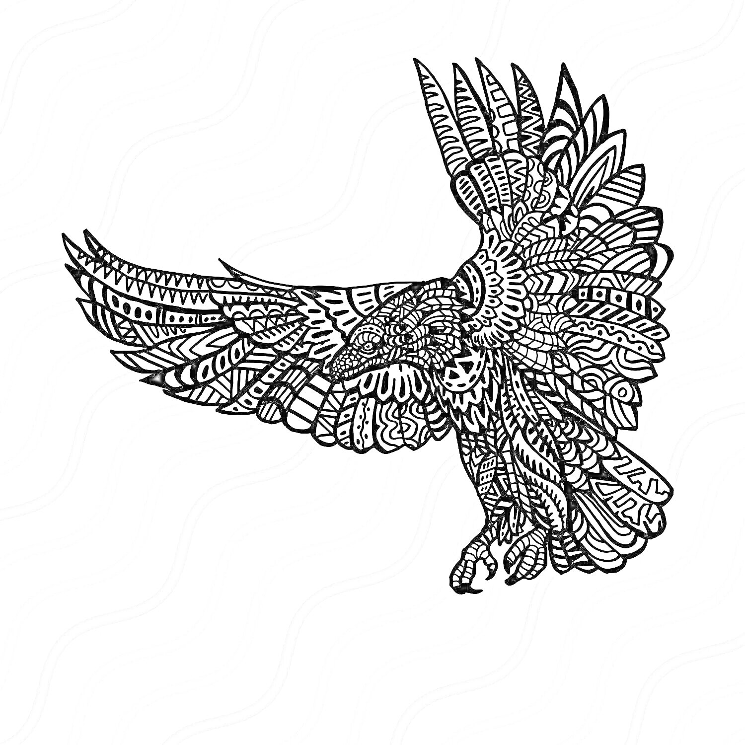 Раскраска Антистресс раскраска с орлом и узорами на белом фоне с волнистыми линиями