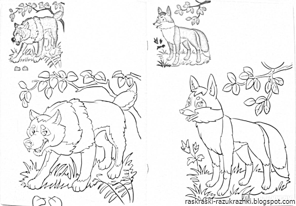 На раскраске изображено: Дикие животные, Деревья, Трава, 6 лет, 7 лет, Для детей, Ветка, Волк