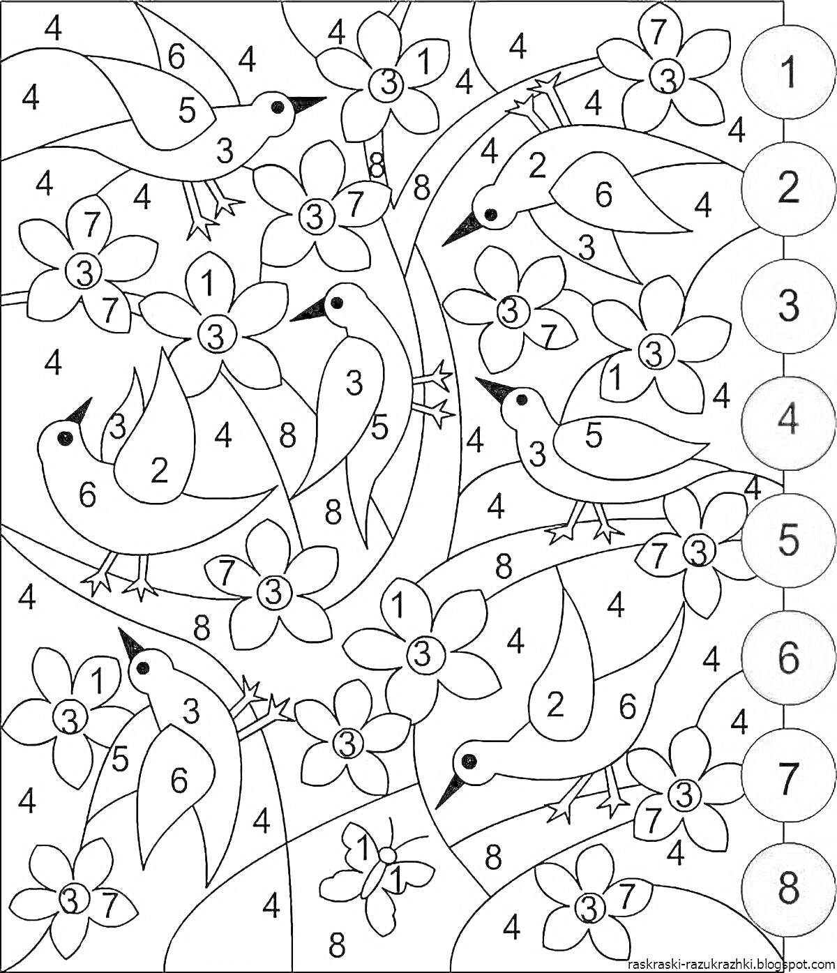 Раскраска Птицы и цветы, раскраска по номерам для детей