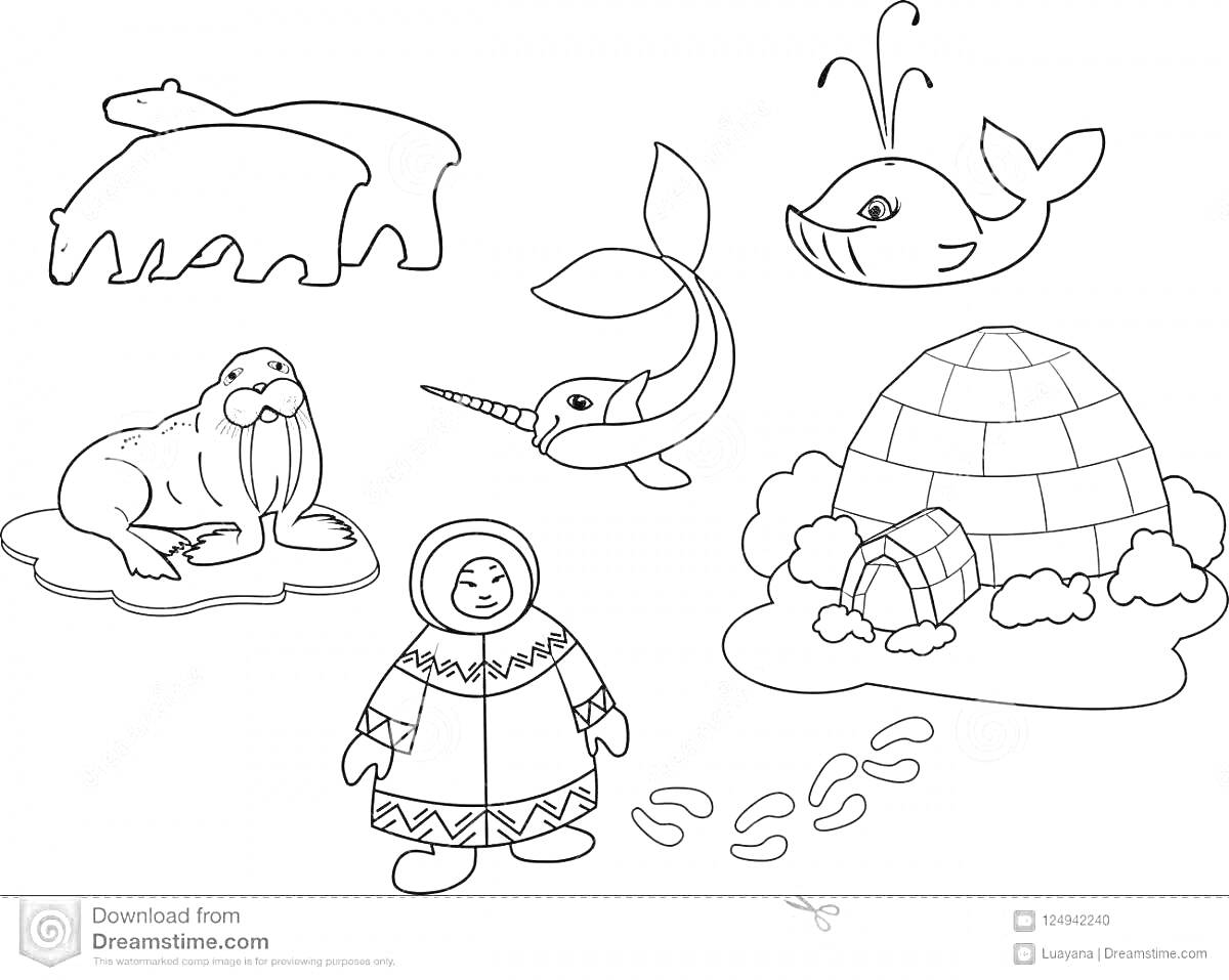 На раскраске изображено: Эскимос, Ребенок, Иглу, Медведь, Морж, Нарвал, Лед, Снег, Арктика, Север, Детское творчество