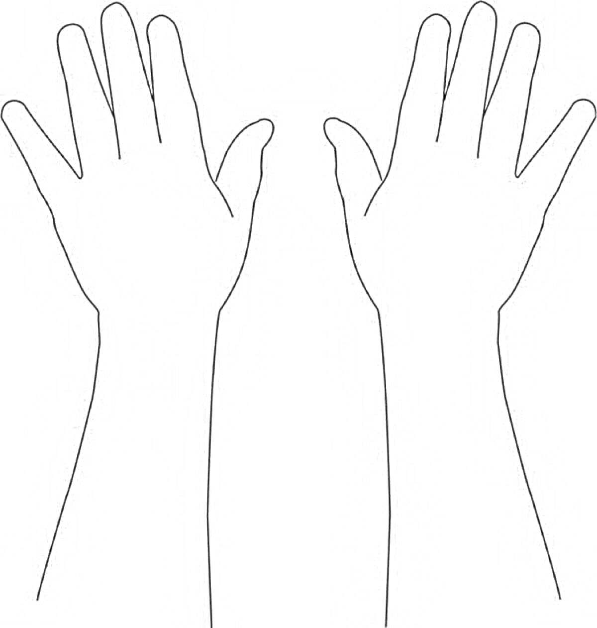 Раскраска Две руки с поднятыми ладонями и предплечьями